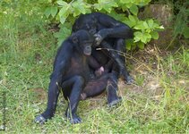 1000_F_68154023_jMPrhRNokqH9eM6Vb1oOv1VcvEWwF3Rp.jpg