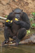 1000_F_122068546_qm4odXAVmzB89rdhJ2aclWues9BoAYwq.jpg