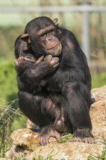 1000_F_158102125_0oi6QI7k0J3ZZl77Wk7flEt8Lbe2xjCo.jpg