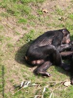 1000_F_173299835_lXMmg3h2ZRFSBZwYR0s1HlooXWX7BE9m.jpg
