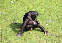 1000_F_173299903_fF0oA707dK4aNb6T1hMs7BkO1M6bvVGR.jpg