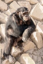 1000_F_174699520_JrD7Jw0iS031vMlBLpJL7Bqh4zm5OOhX.jpg