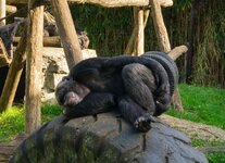 1000_F_261813862_UUPUgShqjPs4FUyZjfKDvjfxSHrMaOGv.jpg