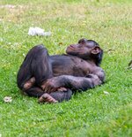 1000_F_354541528_wh4IlZUonjZ2mTIfCOBFX4EGouccazZN.jpg