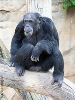 1000_F_399844329_Ertn0kXbyjJA09eQr4j0b1fx70ZdJIBO.jpg