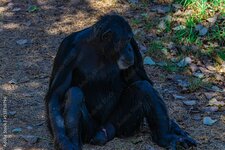 1000_F_535730796_cU2E6k7S9GYmBobjOiq9JcNOJsxTSUKC.jpg