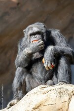 1000_F_700738602_1nvoNjVc6w609lV72gx0knhOiqZ4ttXt.jpg