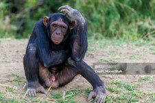 gettyimages-1474576141-1024x1024.jpg