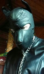 XNCD7779.JPG