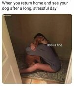 1723374131058.jpeg