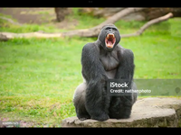IMG_0164.png