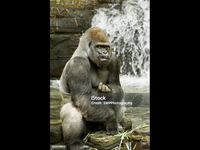 IMG_0165.png