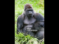 IMG_0166.png