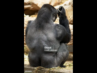 IMG_0169.png