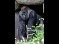 IMG_0170.png