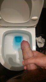 IMG_20191007_140928.jpg