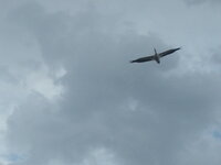 RB5G0104.JPG