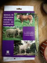 Pornographic-Ruminants.jpg