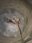 17819367-236E-4595-BA42-31AB33D32273.jpeg