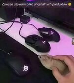 1731601369048.jpeg