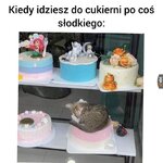 1731601433226.jpeg