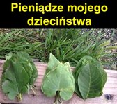 1731705320117.jpeg