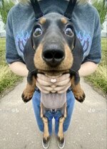 IMG_1986.jpeg