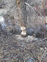 20191109_134937.jpg