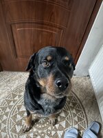 IMG_5433.jpeg