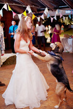 2013-05-20-jodimillerphotographywedding_dogs_11.jpg