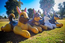 dogs.jpg