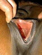 IMG_2174.jpeg