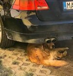 IMG_2215.jpeg