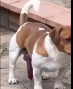 1738682208620.png