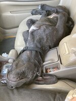 IMG_4051.jpeg