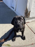 IMG_4380.jpeg