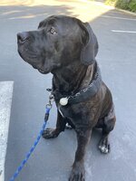 IMG_5547.jpeg