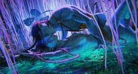 aee9793ef324ba9f2c0e8eb0b6bf24b241a97cf4.jpg
