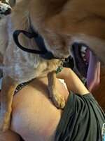 IMG_7854.jpeg