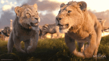 IMG_4745.gif