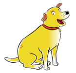 1000111749.png