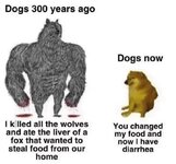 1000041306.jpg