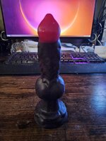 20250304_164425.jpg