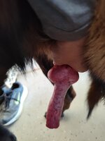 IMG_20250304_161544.jpg