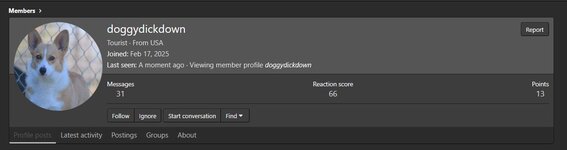 fdsfsdf.JPG