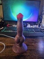 20250306_170120.jpg