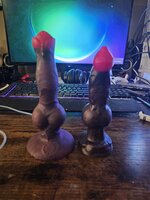 20250306_170128.jpg