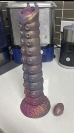 IMG_2814.jpeg