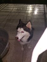 20250309_195223.jpg