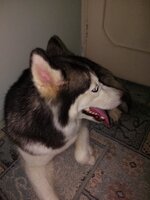 20250310_195528.jpg